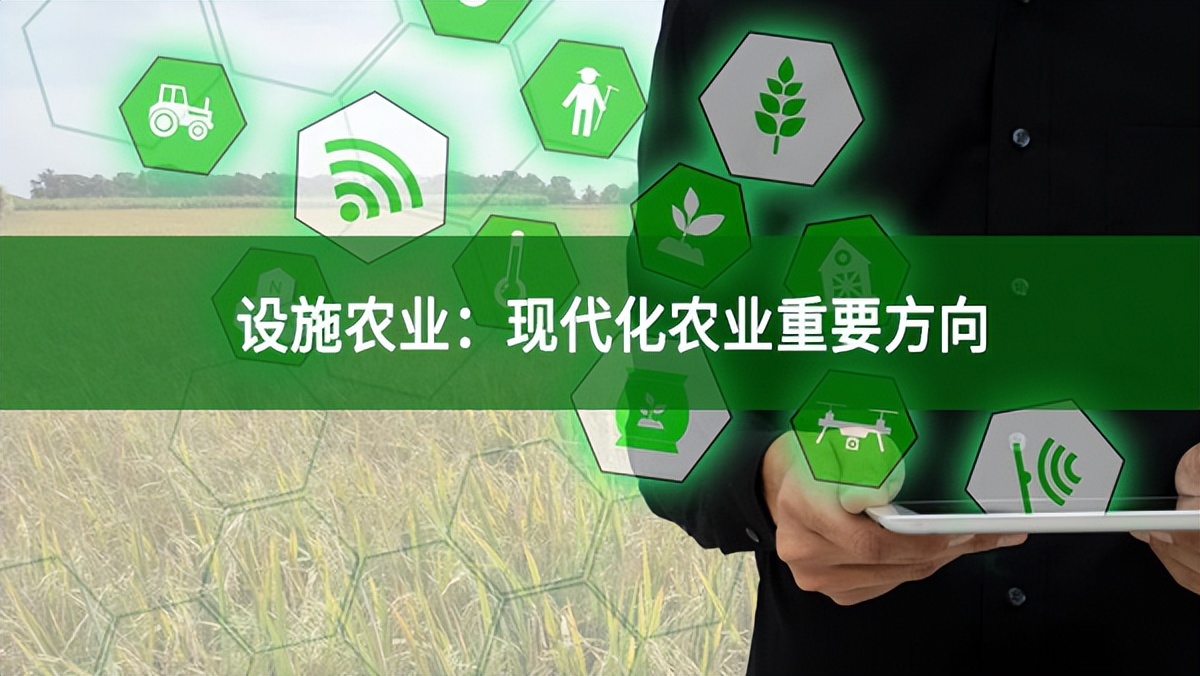 設施農業:現代化農業重要方向