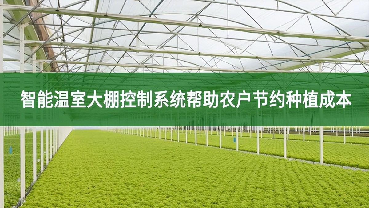 智能溫室大棚控制系統(tǒng)幫助農(nóng)戶(hù)節(jié)約種植成本