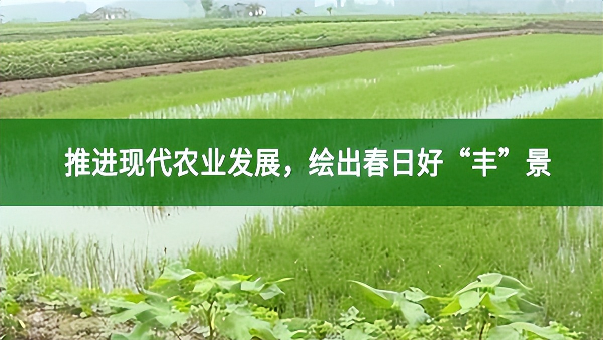 開陽縣毛云鄉：推進現代農業發展，繪出春日好“豐”景