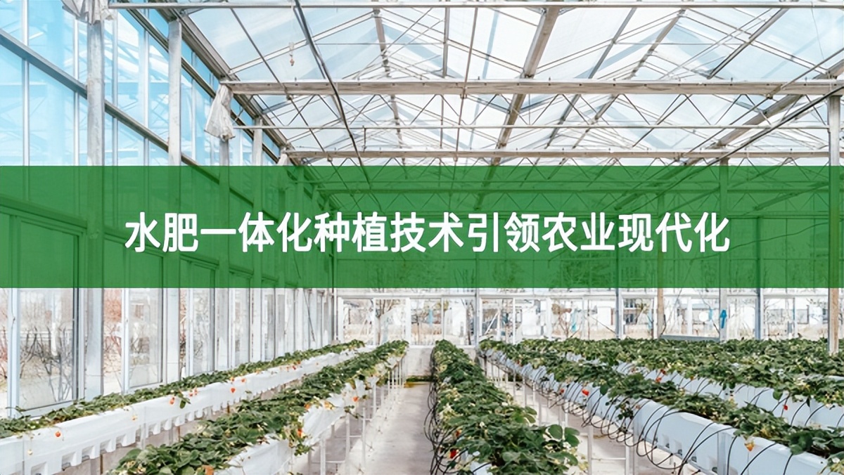 水肥一體化種植技術引領農業現代化，節本增效