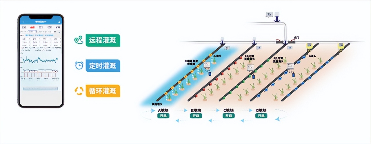 水肥一體化，定時灌溉