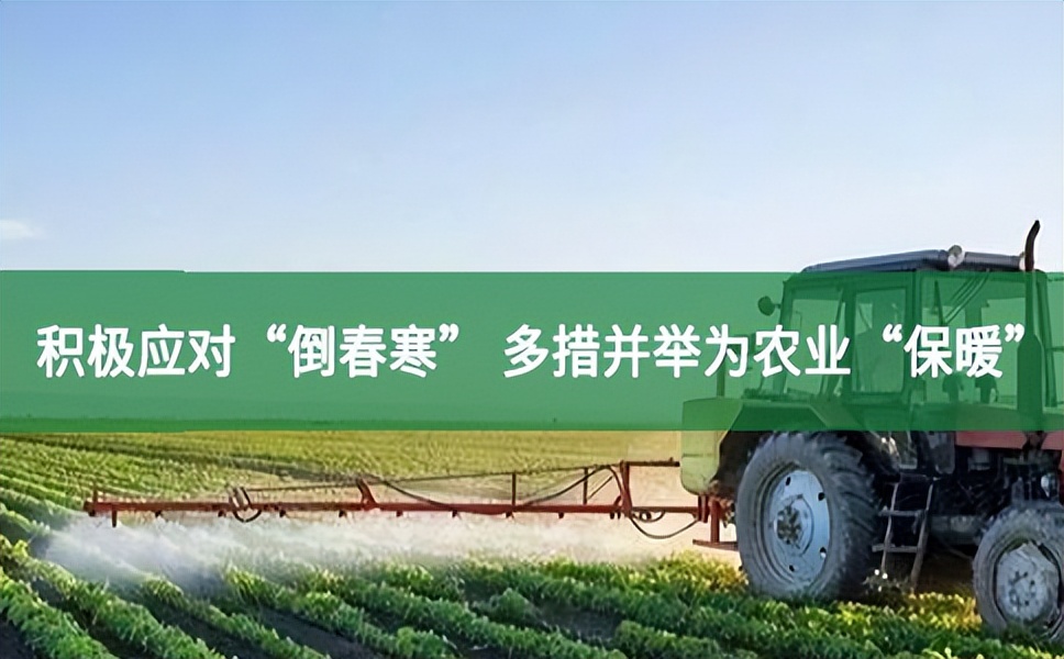 積極應(yīng)對(duì)“倒春寒” 多措并舉為農(nóng)業(yè)“保暖”