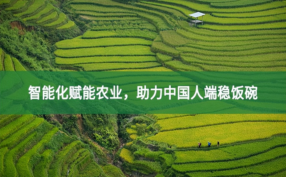 智能化賦能農(nóng)業(yè)，助力中國人端穩(wěn)飯碗