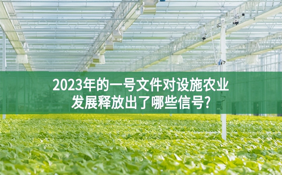 2023年的一號文件對設施農業發展釋放出了哪些信號?
