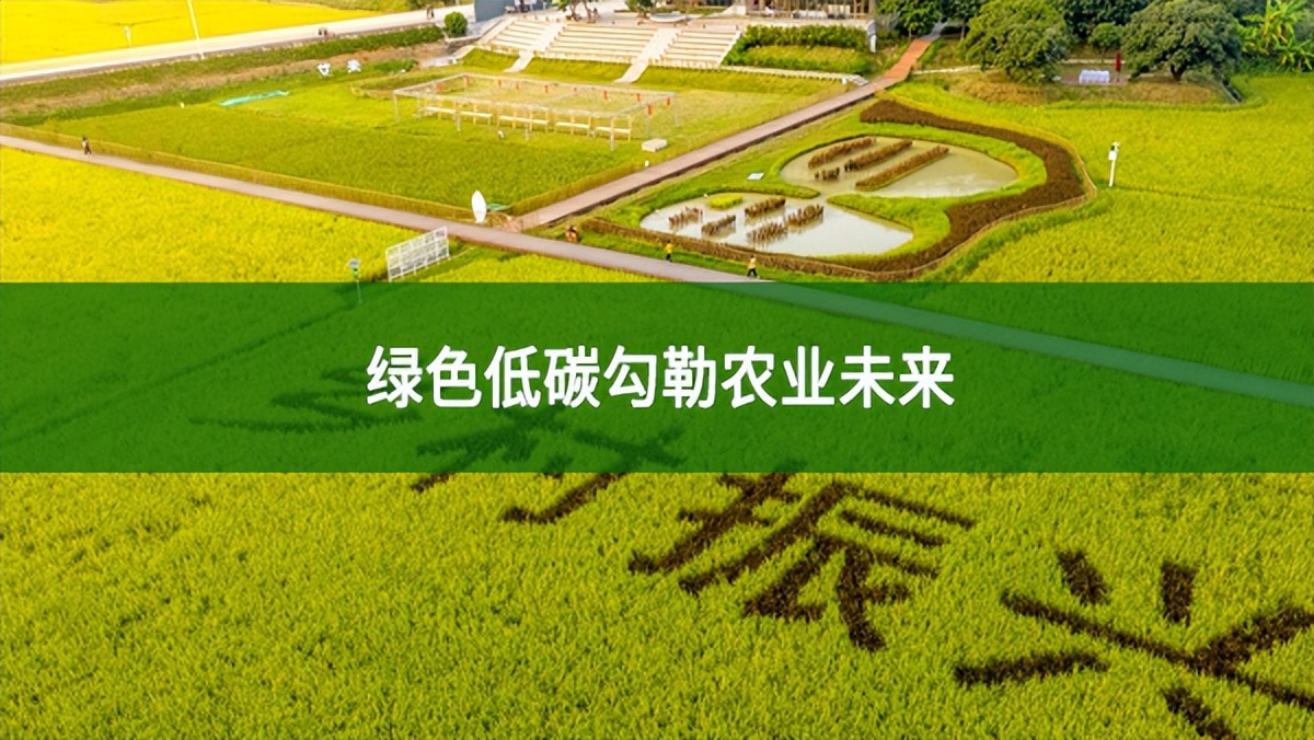 農業低碳發展取得了哪些成果?綠色低碳勾勒農業未來