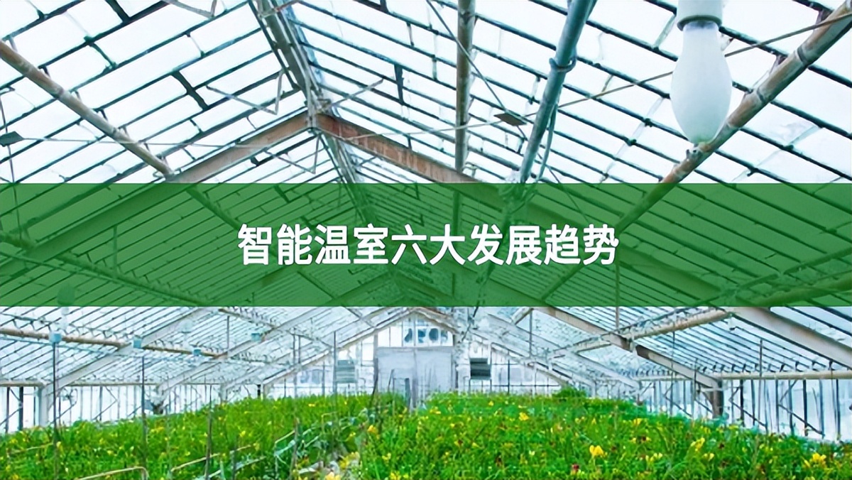 智能溫室六大發(fā)展趨勢