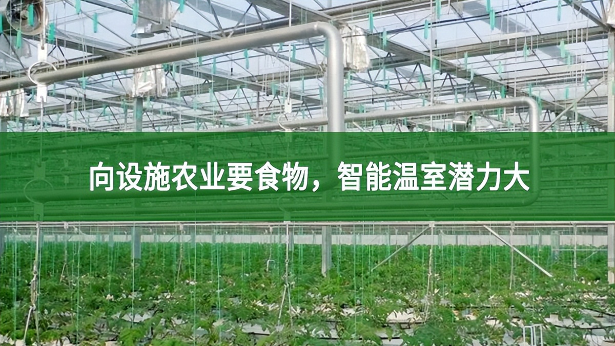向設(shè)施農(nóng)業(yè)要食物，智能溫室潛力大