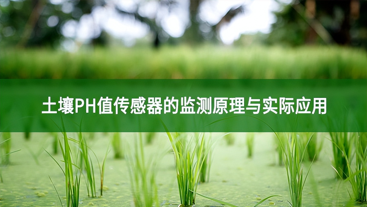 土壤PH值傳感器的監測原理與實際應用
