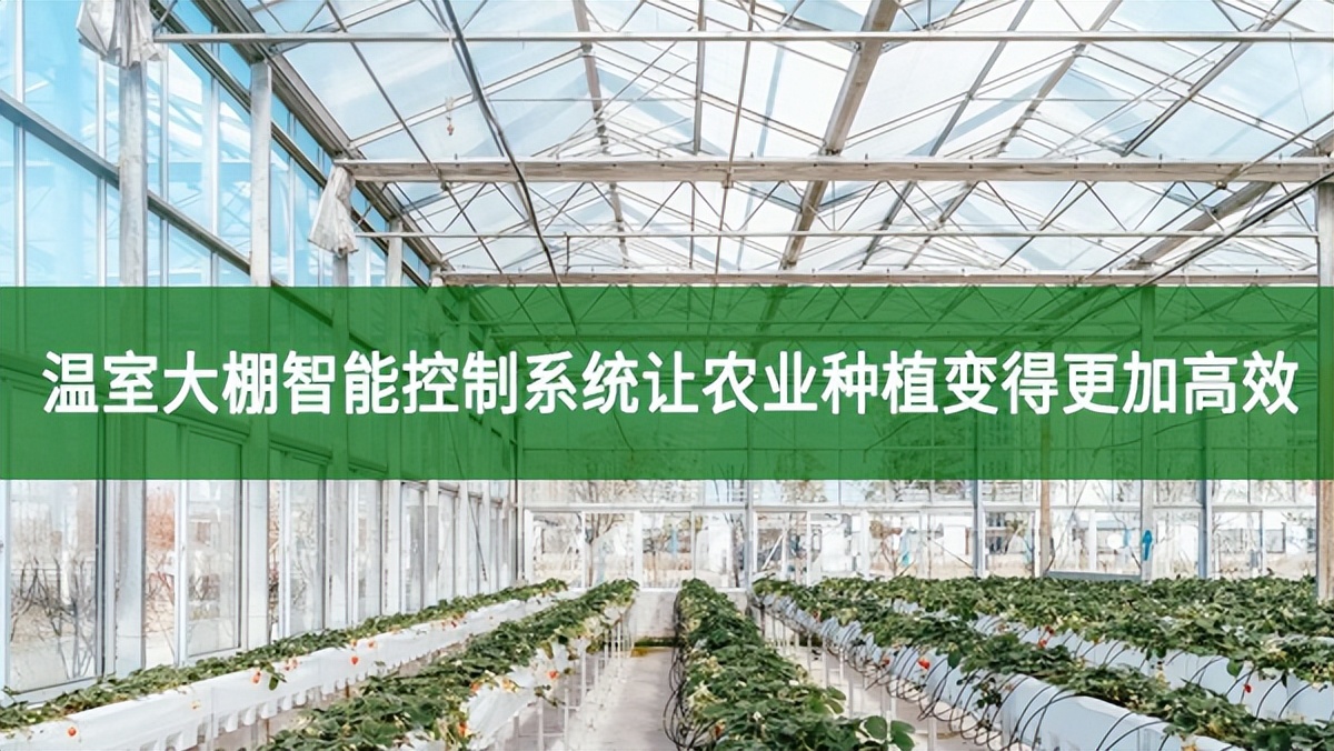 溫室大棚智能控制系統讓農業種植變得更加高效