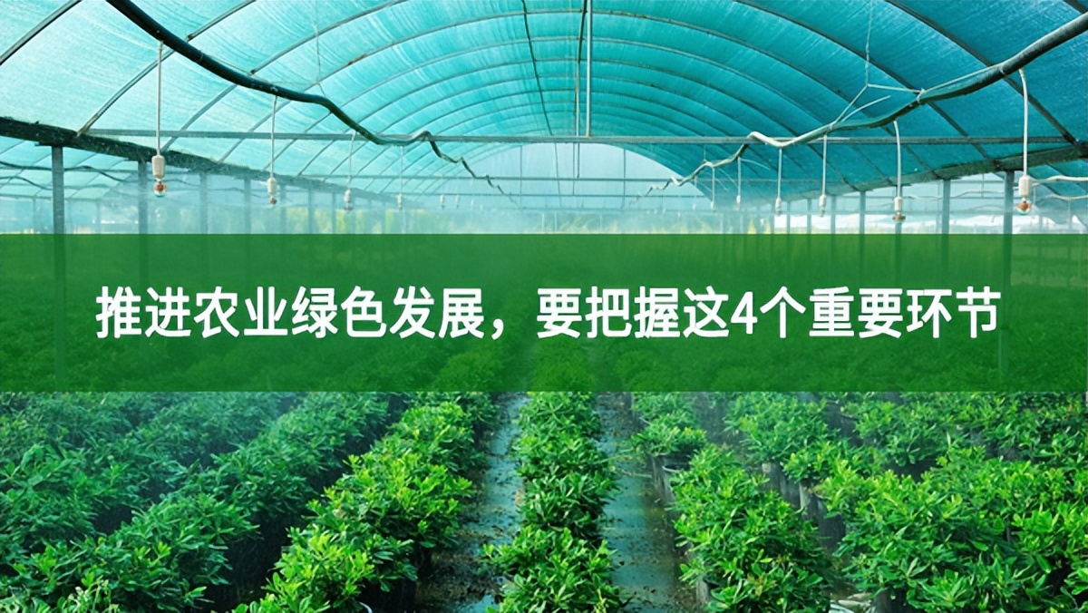 推進農業綠色發展,要把握這4個重要環節