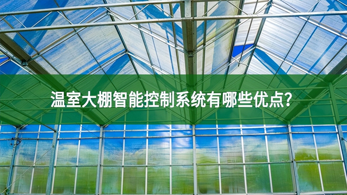 溫室大棚智能控制系統有哪些優點?