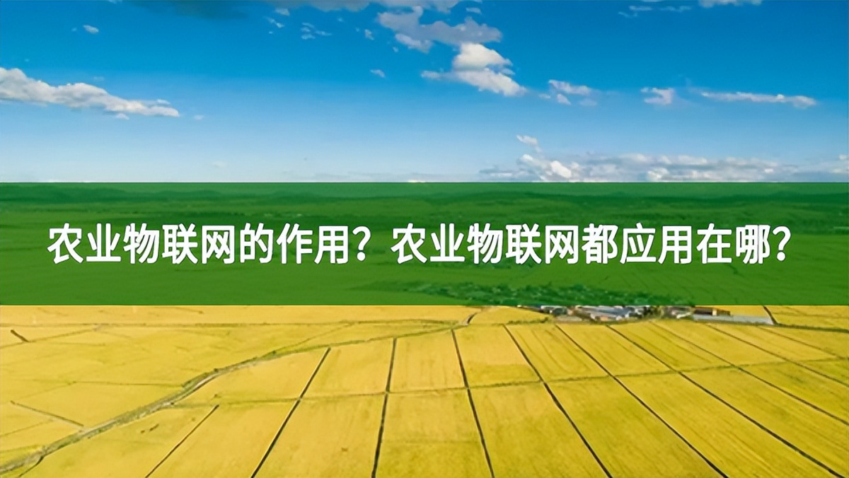 農(nóng)業(yè)物聯(lián)網(wǎng)的作用？農(nóng)業(yè)物聯(lián)網(wǎng)都應(yīng)用在哪？