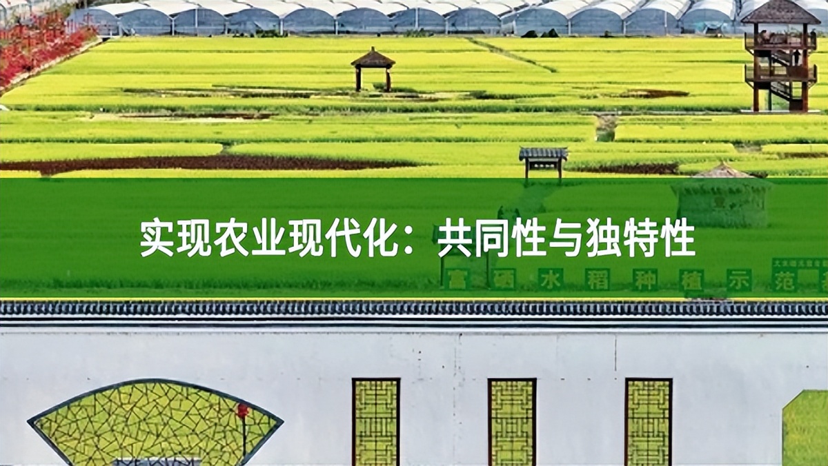 實現農業現代化:共同性與獨特性