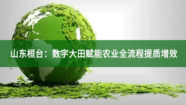 山東桓臺：數字大田賦能農業全流程提質增效