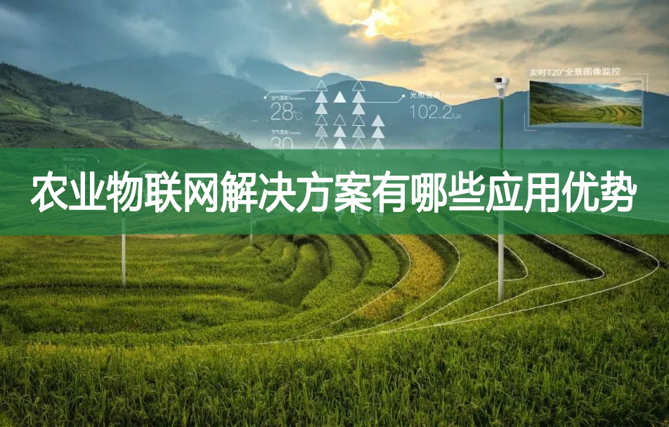 農業物聯網解決方案有哪些應用優勢