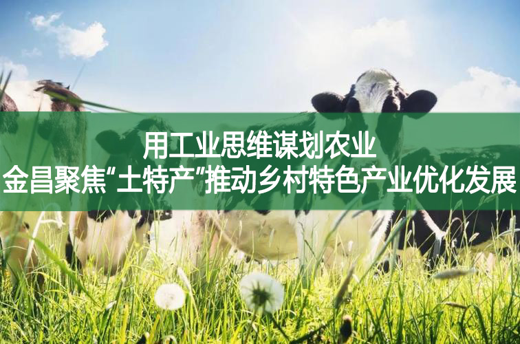 用工業(yè)思維謀劃農(nóng)業(yè)!金昌聚焦“土特產(chǎn)”推動鄉(xiāng)村特色產(chǎn)業(yè)優(yōu)化發(fā)展
