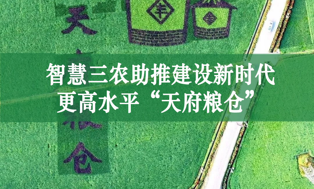 智慧三農助推建設新時代更高水平“天府糧倉”
