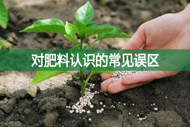 對肥料認識的常見誤區