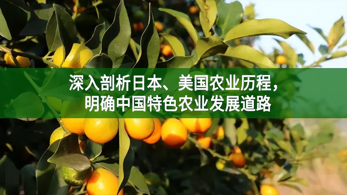 深入剖析日本、美國農業歷程，明確中國特色農業發展道路