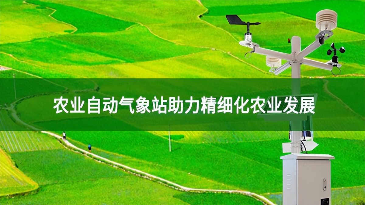 農(nóng)業(yè)自動氣象站助力精細化農(nóng)業(yè)發(fā)展