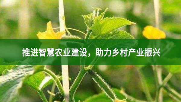 推進智慧農業建設，助力鄉村產業振興