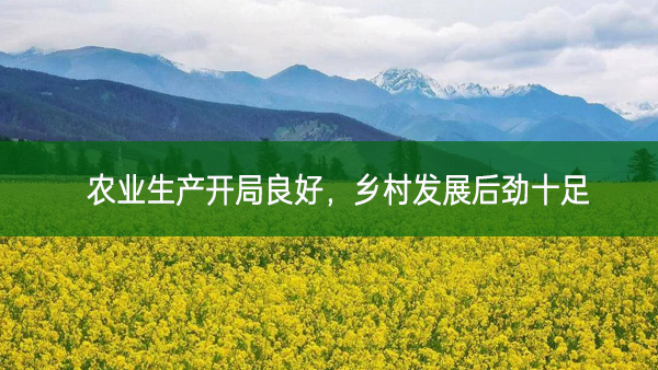 農業生產開局良好,鄉村發展后勁十足