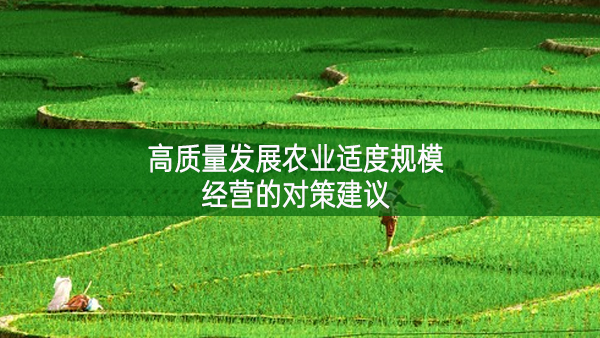 高質量發展農業適度規模經營的對策建議