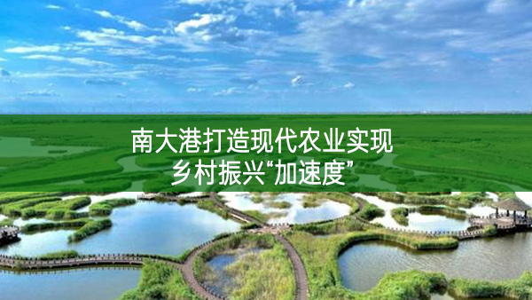 南大港打造現(xiàn)代農業(yè)實現(xiàn)鄉(xiāng)村振興“加速度”