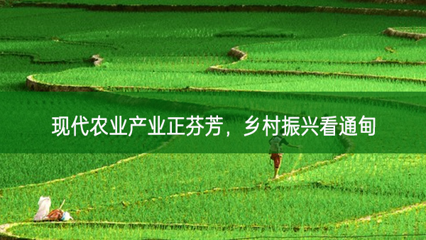 現代農業產業正芬芳,鄉村振興看通甸