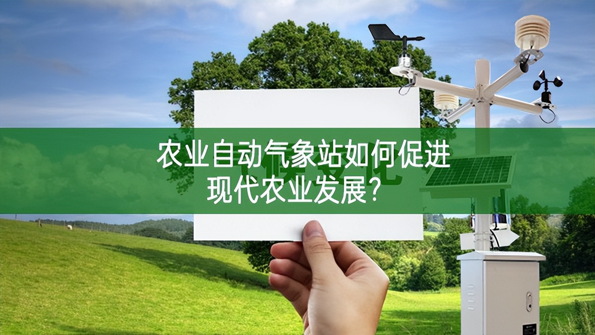 農業自動氣象站如何促進現代農業發展?