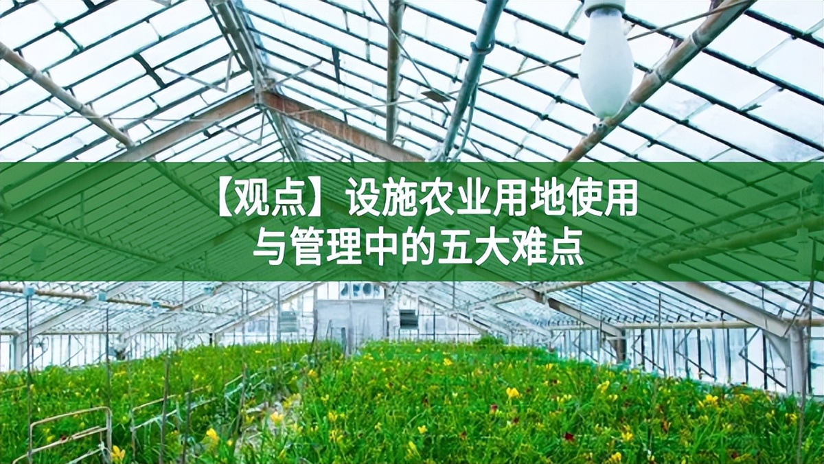 【觀點(diǎn)】設(shè)施農(nóng)業(yè)用地使用與管理中的五大難點(diǎn)