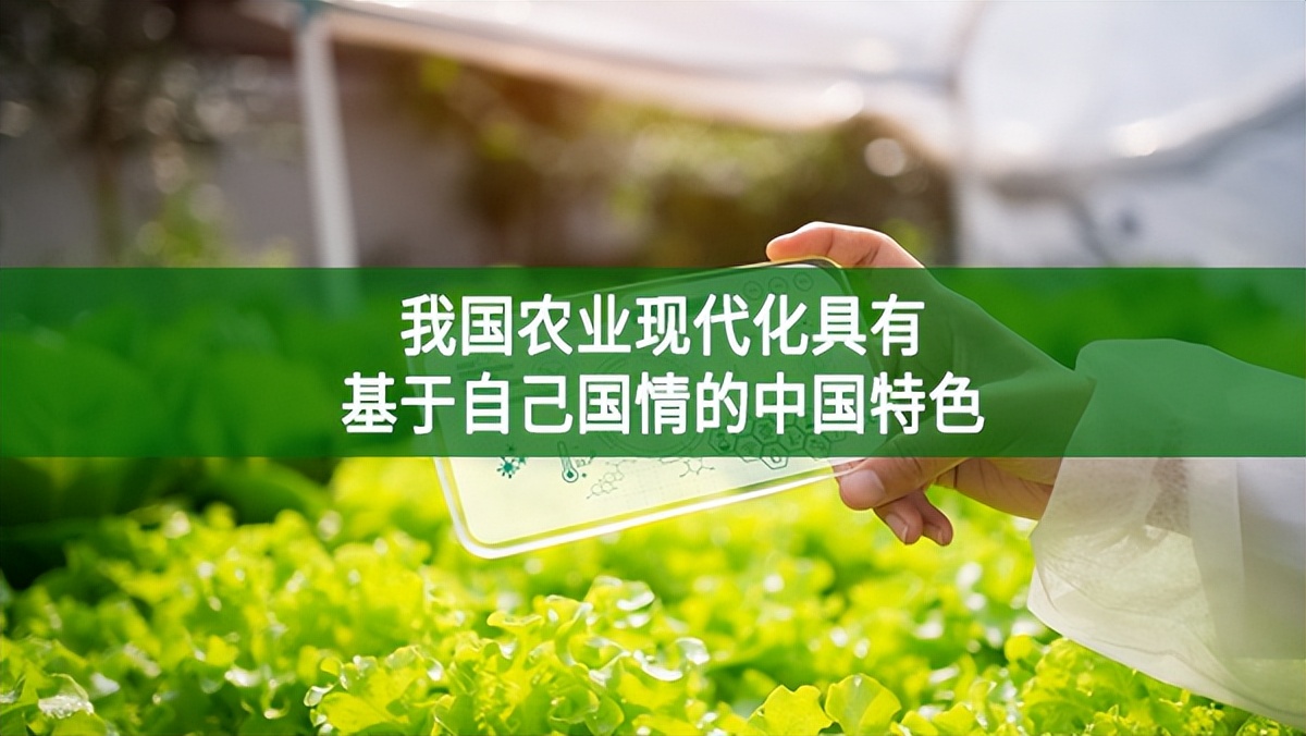 我國(guó)農(nóng)業(yè)現(xiàn)代化具有基于自己國(guó)情的中國(guó)特色