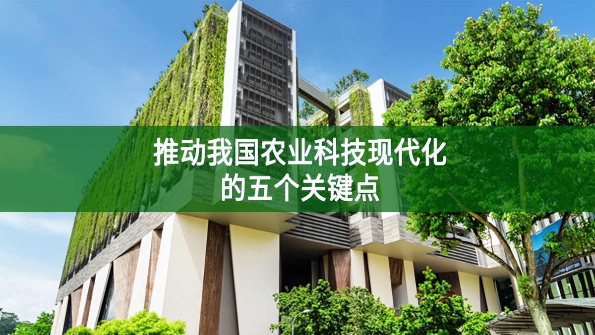 推動(dòng)我國(guó)農(nóng)業(yè)科技現(xiàn)代化的五個(gè)關(guān)鍵點(diǎn)