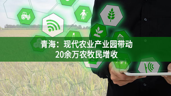 青海:現(xiàn)代農(nóng)業(yè)產(chǎn)業(yè)園帶動(dòng)20余萬(wàn)農(nóng)牧民增收