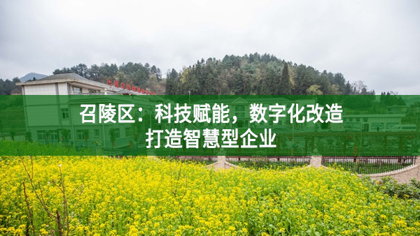召陵區(qū)：科技賦能，數(shù)字化改造打造智慧型企業(yè)