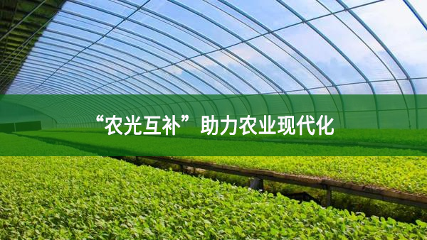 “農(nóng)光互補(bǔ)”助力農(nóng)業(yè)現(xiàn)代化