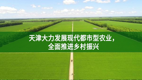 天津大力發展現代都市型農業，全面推進鄉村振興