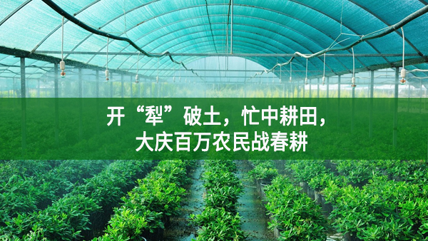 開“犁”破土，忙中耕田，大慶百萬農民戰春耕