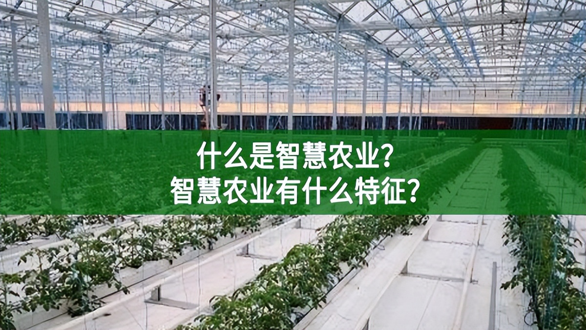 什么是智慧農(nóng)業(yè)?智慧農(nóng)業(yè)有什么特征?