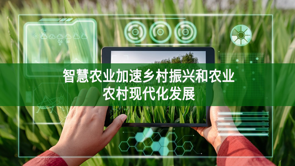 智慧農(nóng)業(yè) 加速鄉(xiāng)村振興和農(nóng)業(yè)農(nóng)村現(xiàn)代化發(fā)展