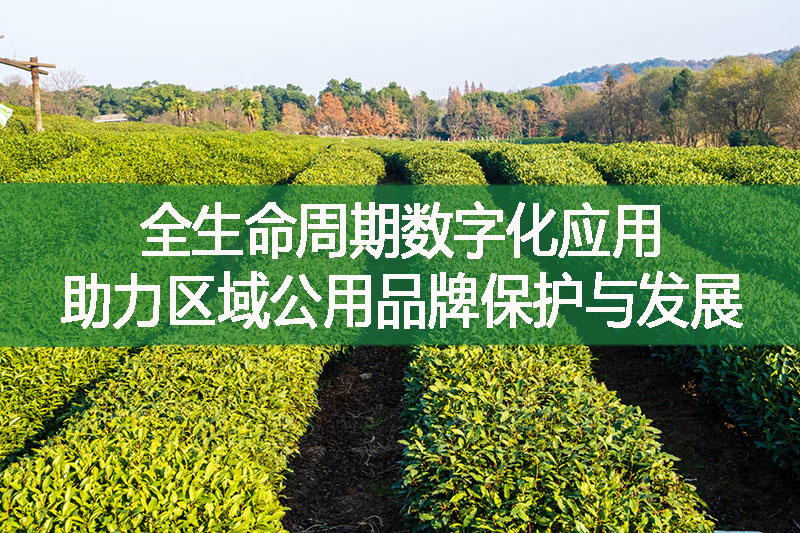 全生命周期數(shù)字化應(yīng)用助力區(qū)域公用品牌保護(hù)與發(fā)展