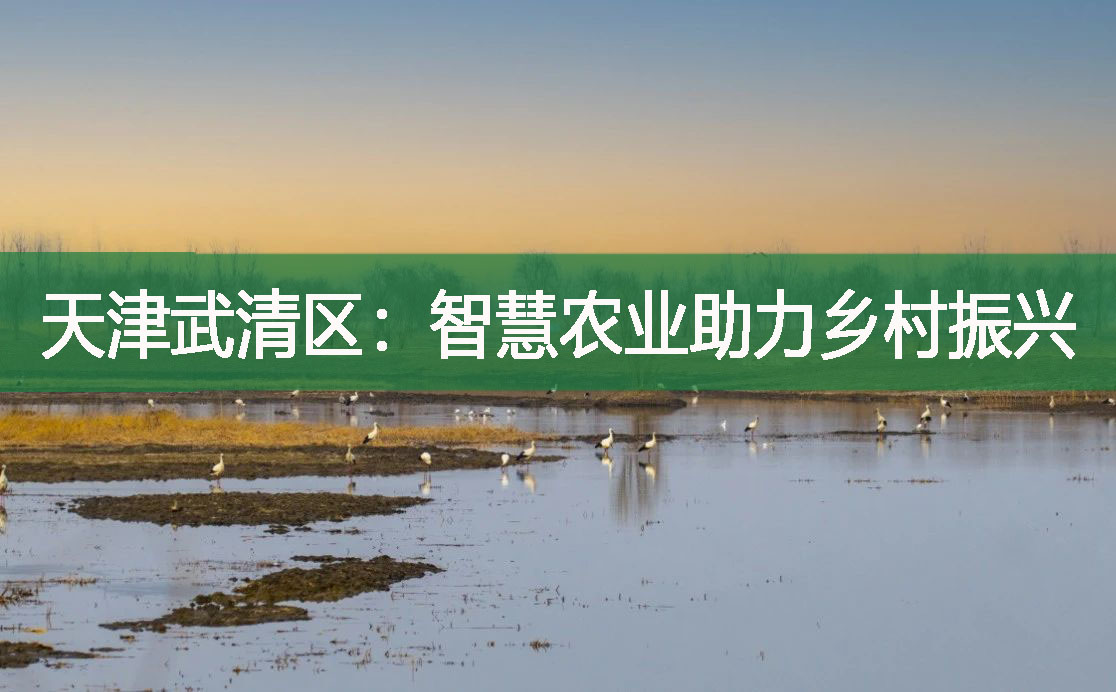 天津武清區(qū)：智慧農(nóng)業(yè)助力鄉(xiāng)村振興