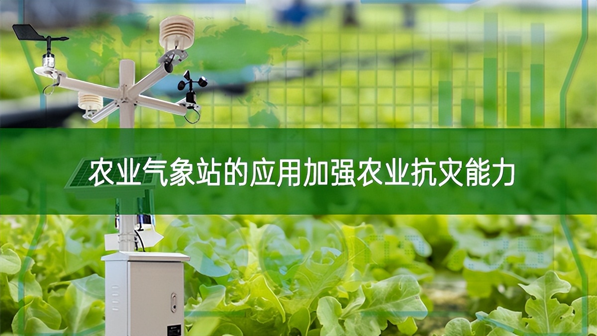 農(nóng)業(yè)氣象站的應(yīng)用加強(qiáng)農(nóng)業(yè)抗災(zāi)能力