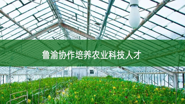 魯渝協(xié)作培養(yǎng)農(nóng)業(yè)科技人才