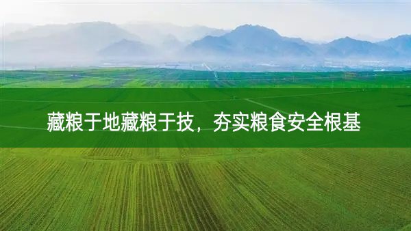 藏糧于地藏糧于技,夯實糧食安全根基