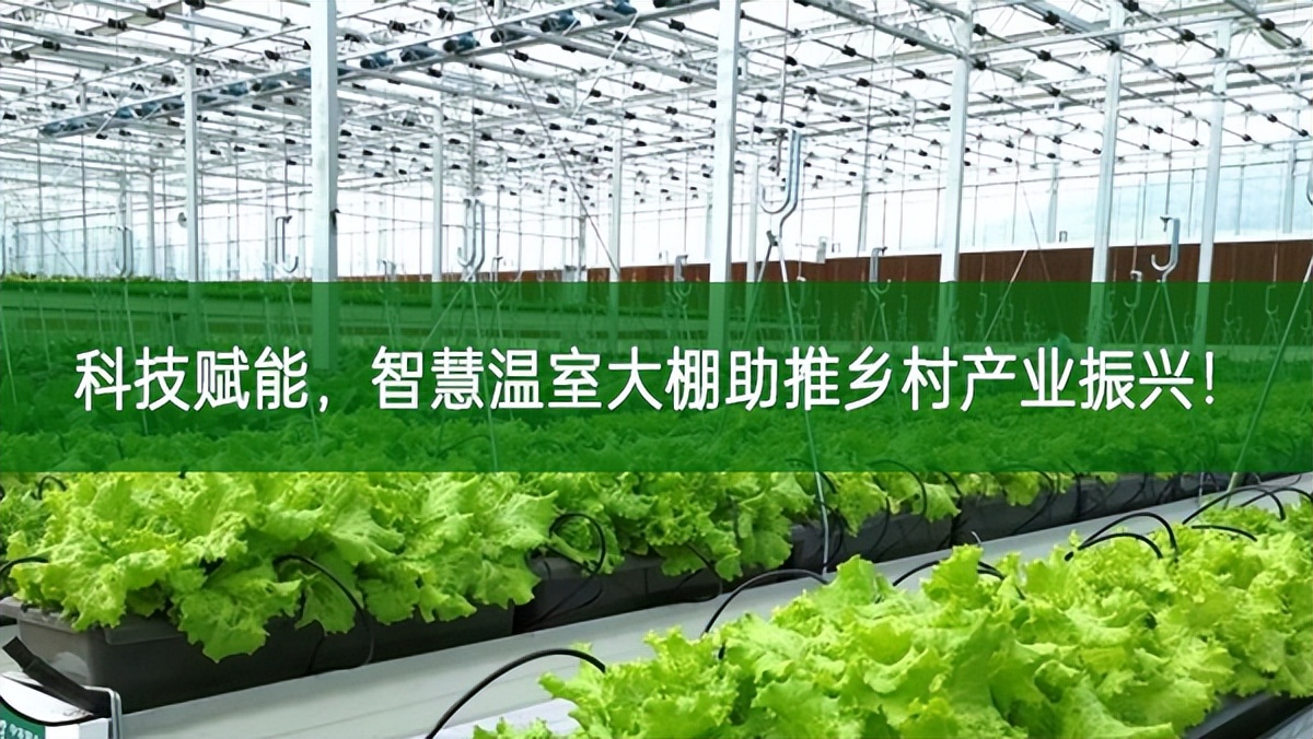 科技賦能，智慧溫室大棚助推鄉村產業振興!