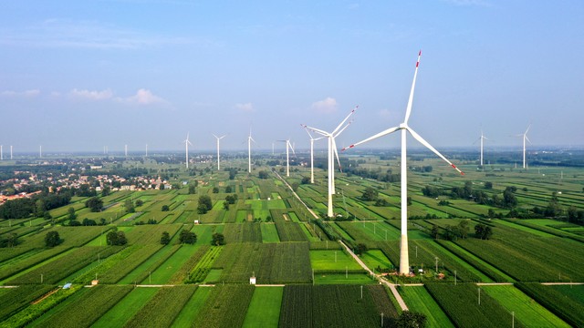 數(shù)字科技賦能現(xiàn)代農(nóng)業(yè)