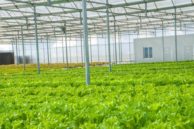 余杭打造綠色低碳農(nóng)業(yè)范本