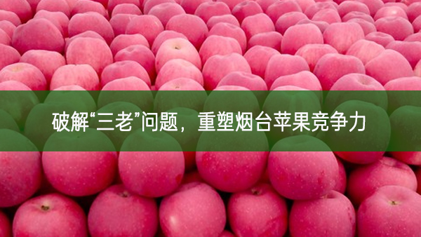 破解“三老”問題，重塑煙臺蘋果競爭力