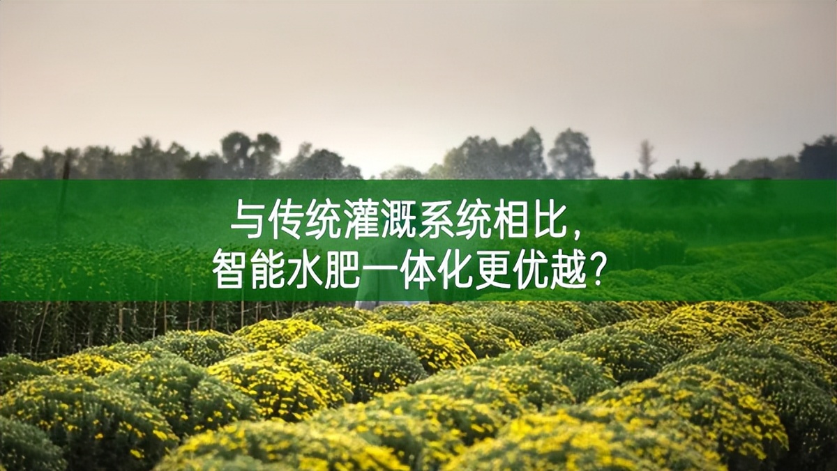 與傳統灌溉系統相比,智能水肥一體化更優越?